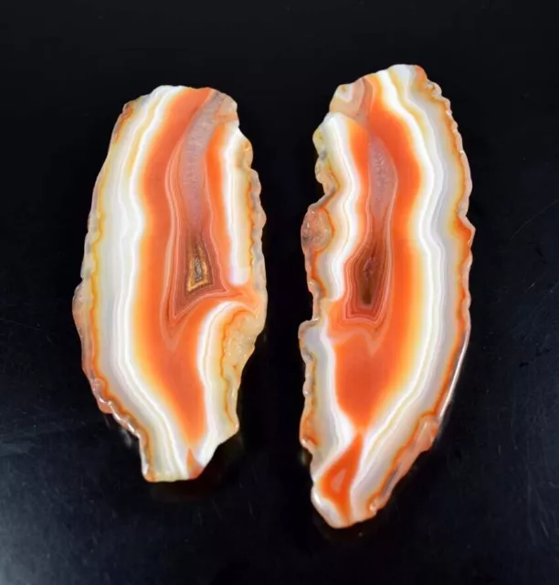 536,60 cts. 100 % Naturel Orange Botswana Agate Rough Slice Loose Gemstone