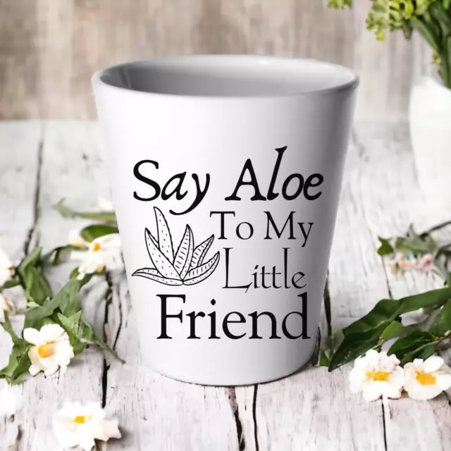 Say Aloe To My Little Friend Plant Pot / Succulent Cactus Funny Pun Joke Gift