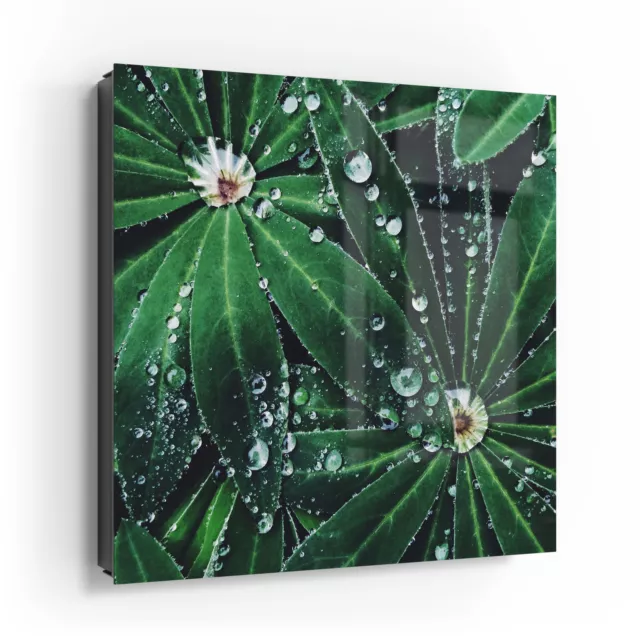 DEQORI Schlüsselkasten Glasfront 30x30 cm 'Wasserperlenverzierung' Box modern