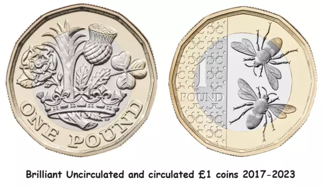2017 - 2023 £1 One Pound Coin + New Bees coin Brilliant Uncirculated /circulated