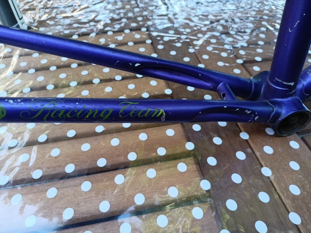 gitane racing bike