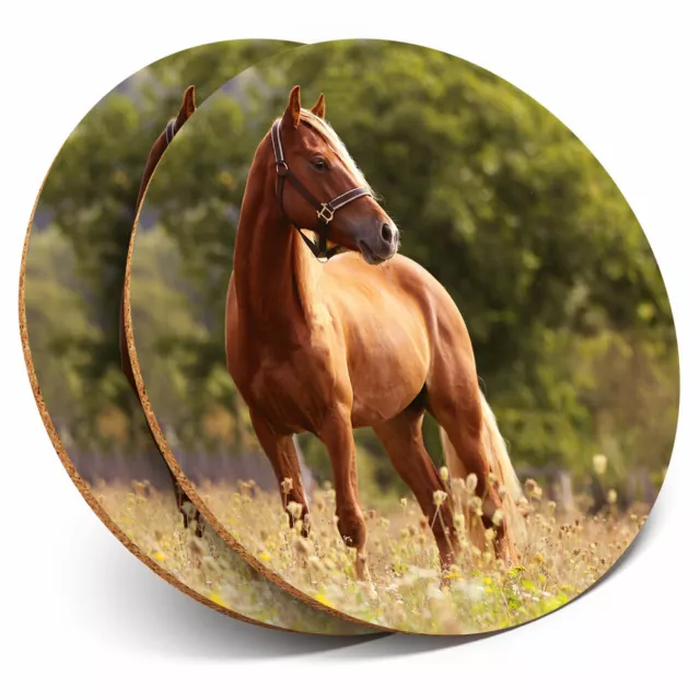 2 x Coasters - Welsh Cob Horse Pony Cute Fun Home Gift #2277