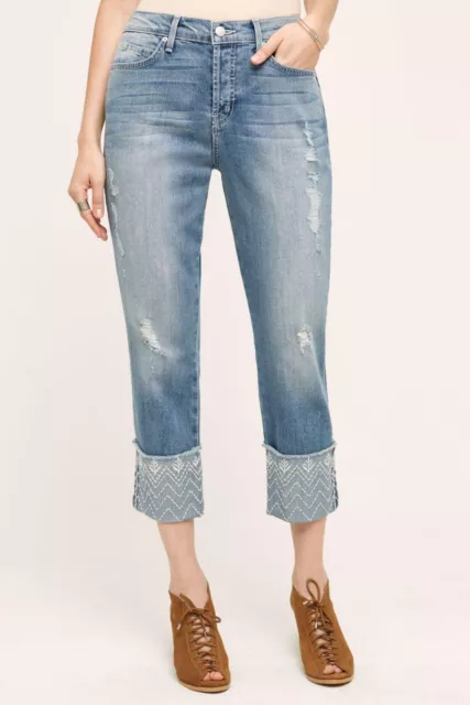 Nwt Level 99 Morgan Sea Embroidered High-Rise Straight Jeans 29