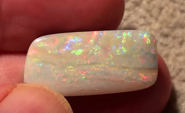 Sublime Multicolore Opale Boulder 18,5ct. Avec Video