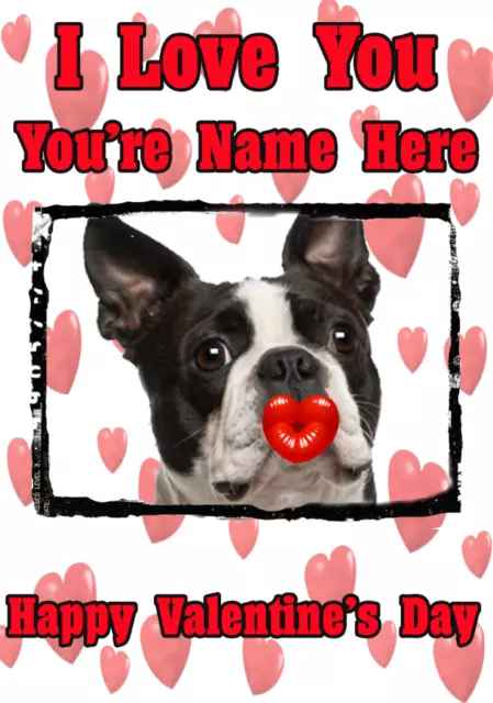 Boston Terrier Dog tv39 Fun Cute valentines Day Card A5 Personalised Greetings