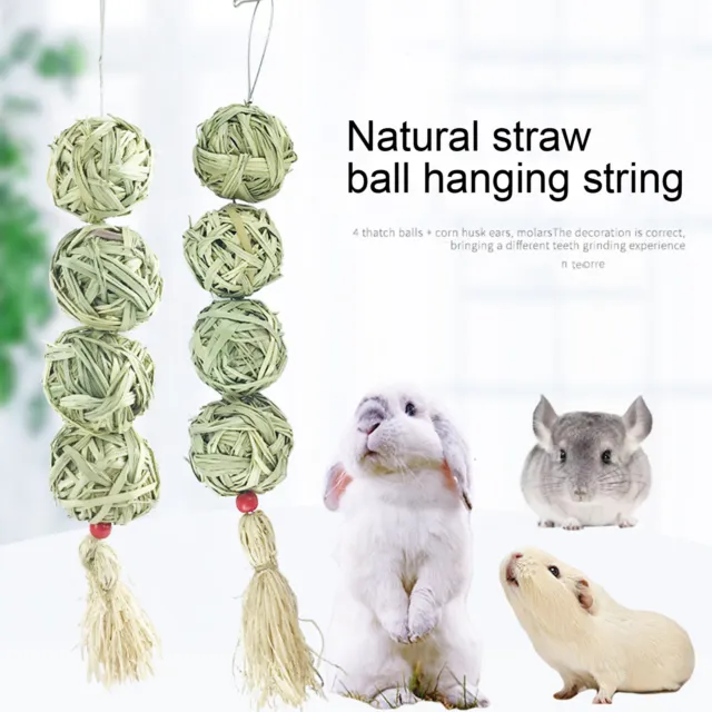 Meerschweinchen-spielzeug Tragbar Emotionaler Komfort Hamster Kaugras