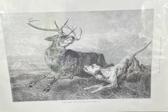 Irish Wolfhound Chasing Deer Reproduction Print from 1873