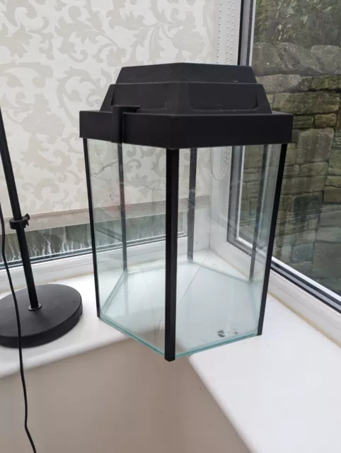 Hexagonal Glass Fish Tank - 38cm tall, 31cm wide