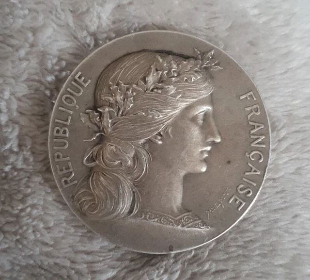 Médaille En Argent 47g