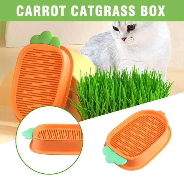 Cat Grass Planting Box Plant Growing Kit Hydroponic Cat Planter Grass A9D8