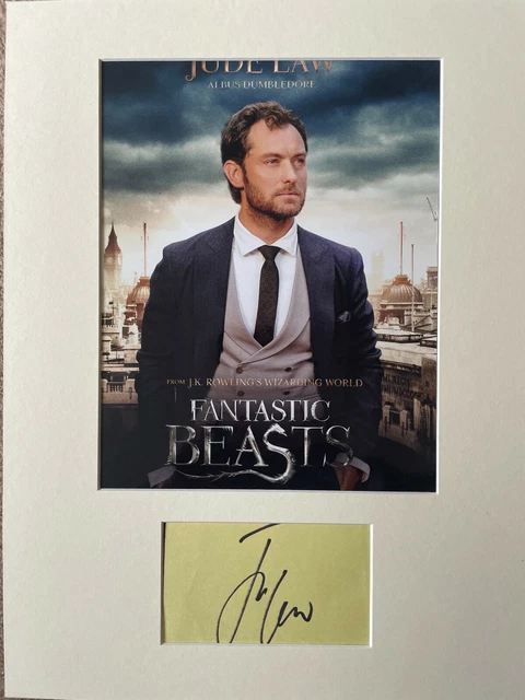 Jude Law Autograph - Fantastic Beasts - Signed Page & 10x8 Photo Mount - AFTAL