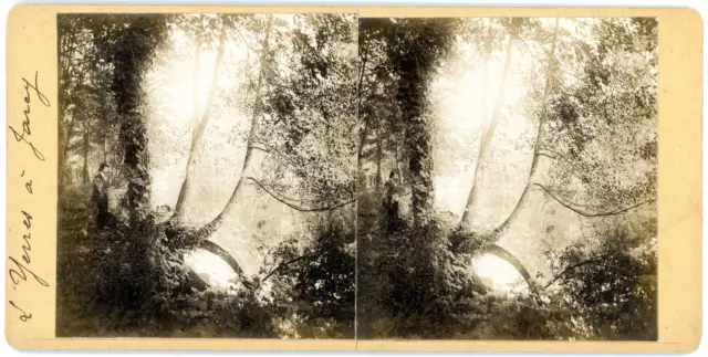 Stereo, France, la rivière l&#039;Yerres à Jarcy Vintage stereo card - Tirag