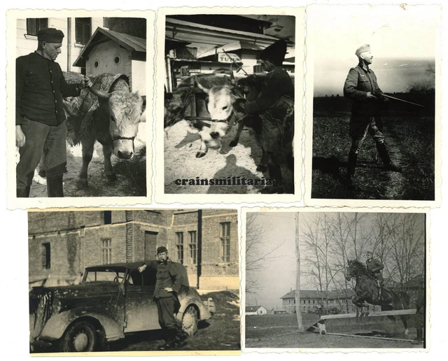 5x Orig. Foto Offiziere Pkw Bevölkerung Pferd in CARACAL Rumänien 1941