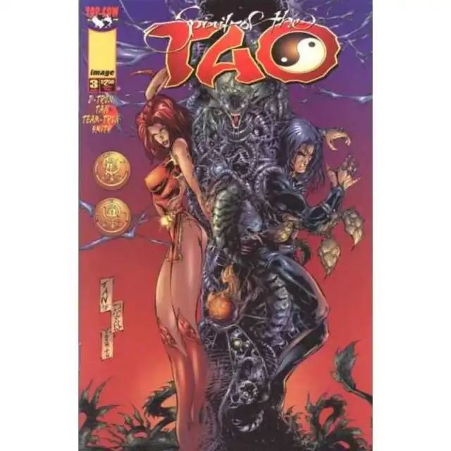Spirit of the Tao #3 in Near Mint condition. Image comics [n*