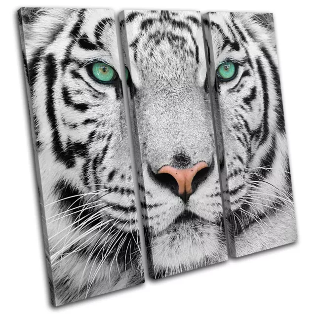 Siberian Tiger Eye Animals TREBLE CANVAS WALL ART Picture Print VA