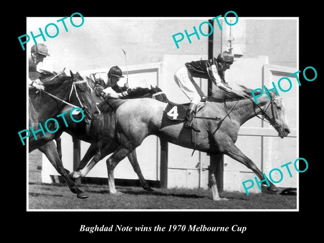 Old Large Horse Racing Photo Of Bhagdad Note Winning The 1970 Melbourne Cup