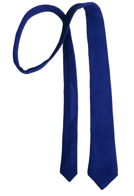 Boys Tie Necktie Hortex Ireland Vintage Retro  Age 4-10 Royal Blue New