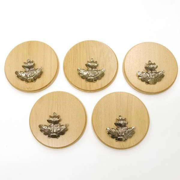 5 Pieza Placa de Jabalí Redondo Roble Claro Af 17 CM Con 5x Hoja Portada Grande