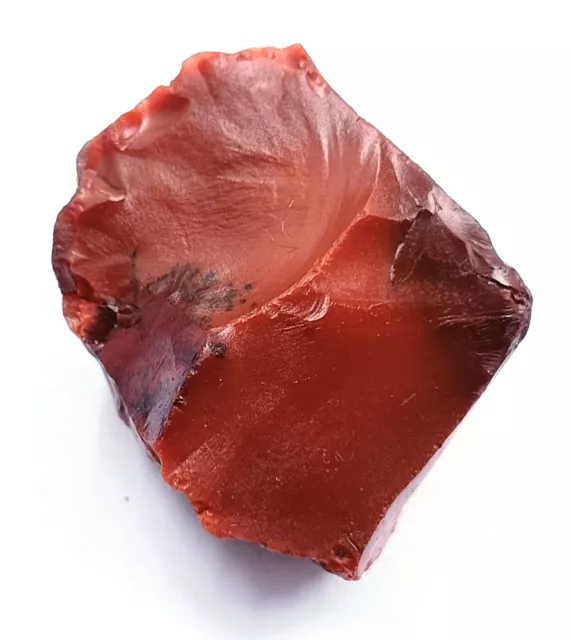 170 Ct Natural Brown Amber Egl Certified Uncut Rough Chunk Loose Gemstone Mnc
