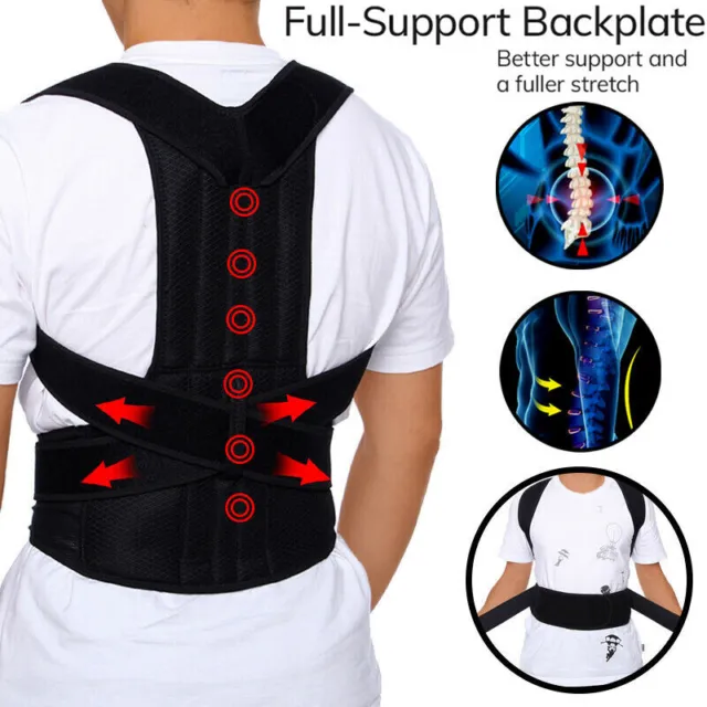 Medical Back Support Lumber Belt Brace Lower Back Double Pull Belt Pain Relief