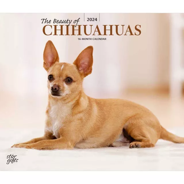 The Beauty of Chihuahuas | 2024 14x24" Monthly Deluxe Wall Calendar
