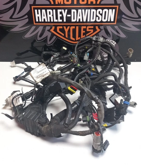 Harley Davidson Wiring Loom FOR SALE! - PicClick UK