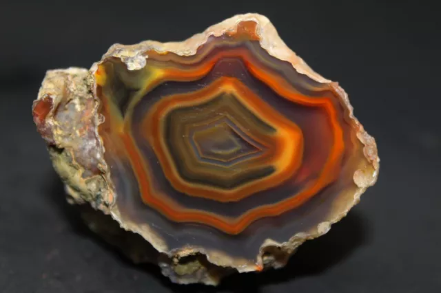 Condor agate collector specimen