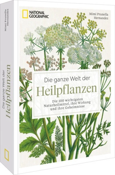Die ganze Welt der Knöpfe!(*´꒳`*) Die ganze Welt der Knöpfe!: Kleine Kunstwerke für Kleidung