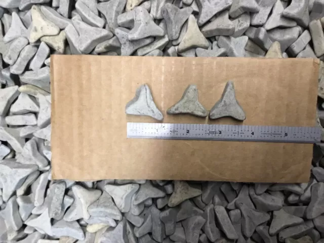16.5 LBS Ceramic Tumbling Media, Deburring, Polishing, Abrasive, Metal Castings,