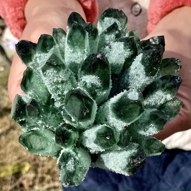2.11LB New Find Green Phantom Quartz Crystal Cluster Mineral Specimen Healing
