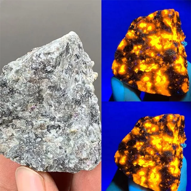 contenant Sodalite fluorescente Pierre de flamme naturelle Spécimens minéraux