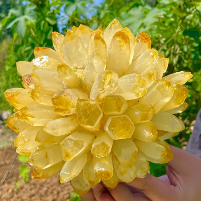 9.5LB New Find yellow  Phantom Quartz Crystal Cluster Mineral Specimen Healing