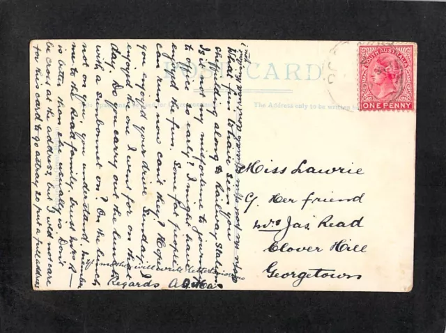 B6910 Australia SA Adelaide Botanic Park PUc1907 vintage postcard 2
