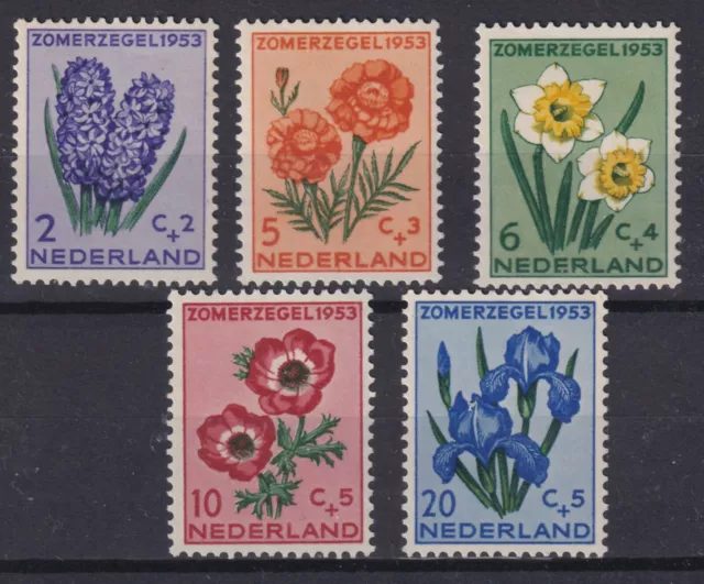 Netherlands 1953 Cultural And Social Relief  Fund  Flowers Sg 764-768 Set 5 Mnh