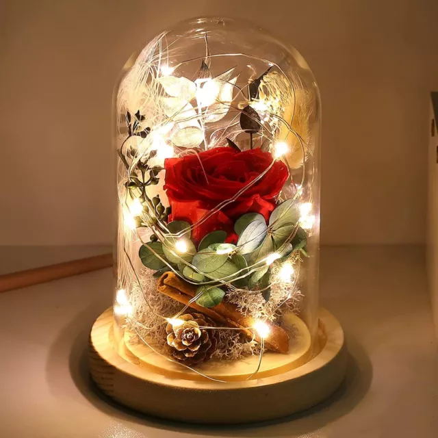 Ewige Rose im Glas Led Licht Geburtstag Vatertag Liebesgeschenk stilwohnen DE 2