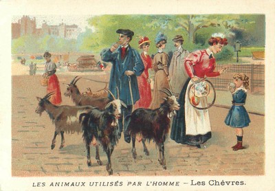 AD83 Bon point des TRAVAUX AGRICOLES Ayons une Chevre 