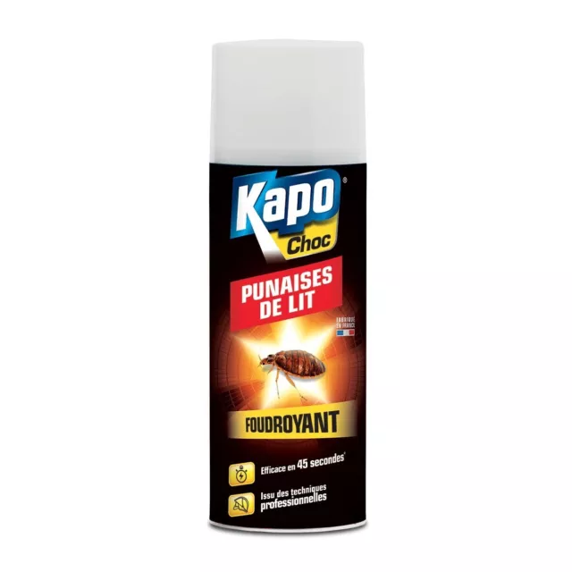 Insecticide foudroyant aérosol anti punaises de lit 400ml KAPO