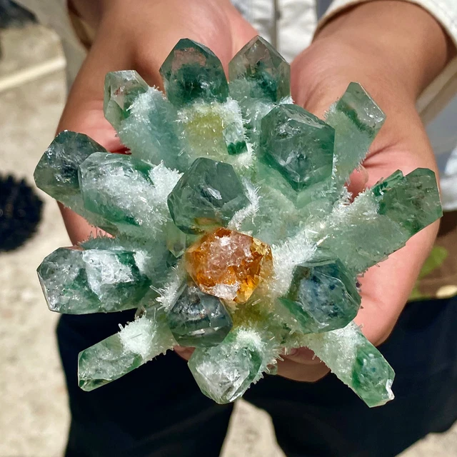 1.2LB New Find Green Phantom Quartz Crystal Cluster Mineral Specimen Healing 10