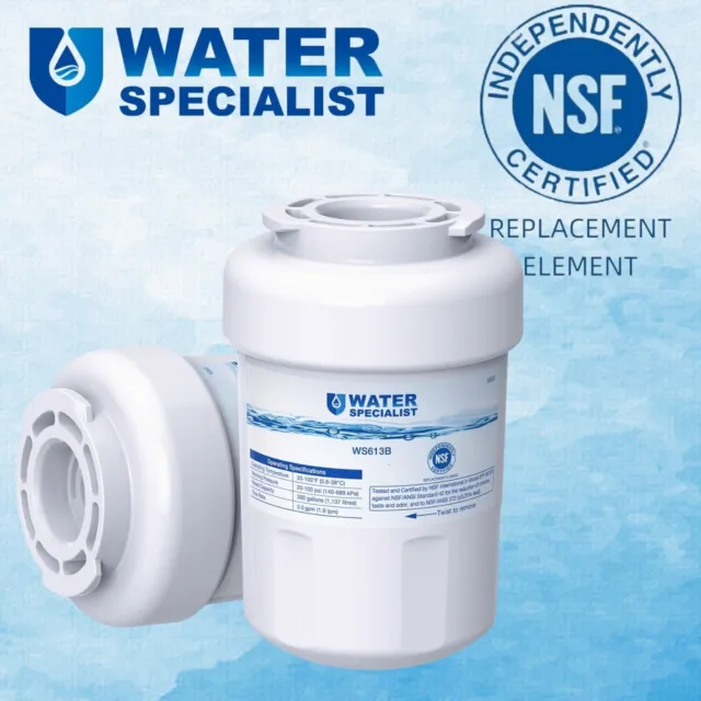 Waterspecialist MWF Refrigerator Water Filter, Replacement for GE® MWF (2)