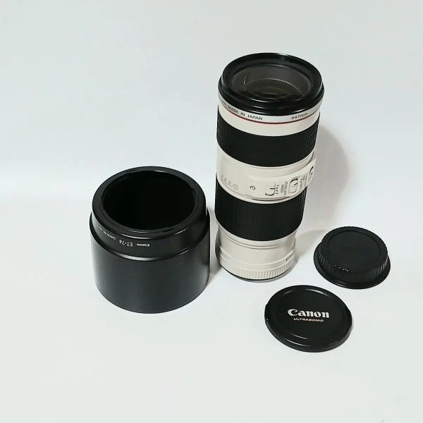 LUMIX G VARIO 12-60mmF3.5-5.6　H-FS12060 Obiettivi, Obiettivi e filtri, Fotografia e video - PicClick IT