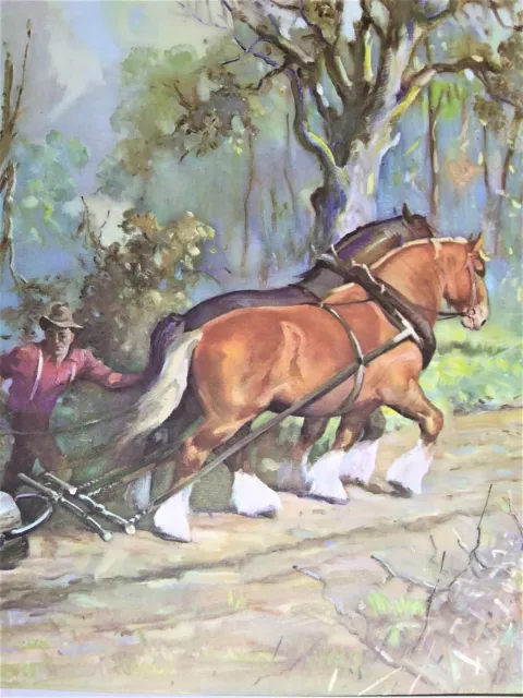 Vintage Horse Print Equestrian Art Wesley Dennis Lithograph, The Shire