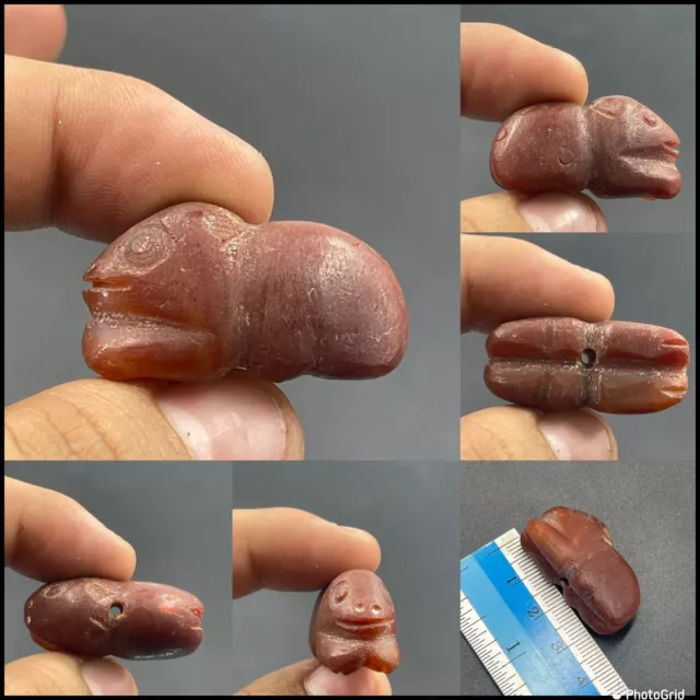 Near Eastern Old Carnelian Agate stone Carved small Animal Figurine Amulet Bead