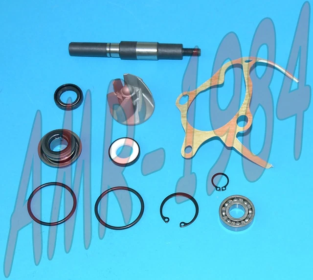 Set Révision Pompe à Eau H2O Honda Foresight 250 4T 1998 1999 AA00814