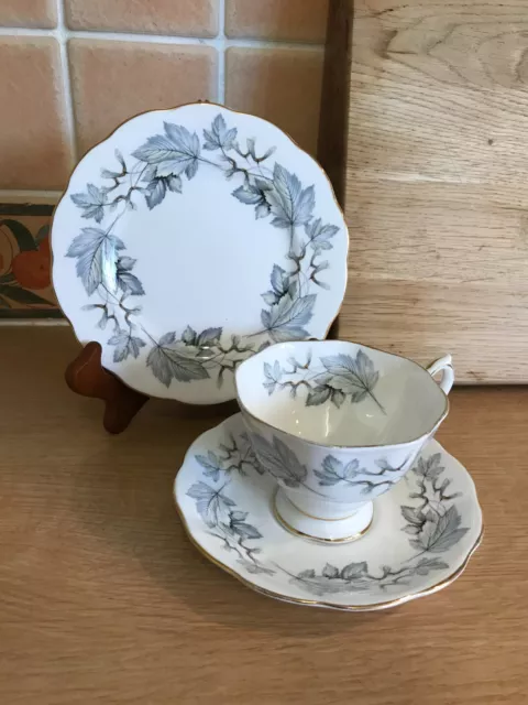 Royal Albert Bone China Cup, Saucer & Side Plate (Trio) - Silver Maple Pattern