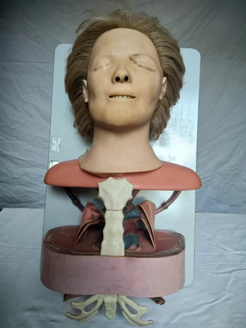 Buste De Secourisme Anatomic Anne - Asmunds Laerdal 1960 - Occasion - Curiosité Médicale