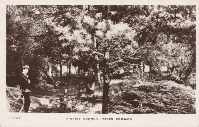 e england kent old postcard english a quiet corner hayes common