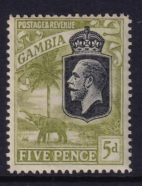 Gambia stamps 1922-29 5d Sage Green SG130 - MNH