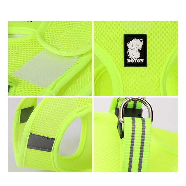Pet Chest Harness Cat Harness Arnes Para Perros Pequeños The Cat 2