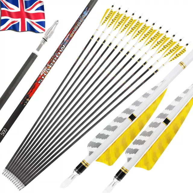 12X 31" Pure Carbon Arrows SP500 Hunting 4" Feather Archery Recurve Compound Bow