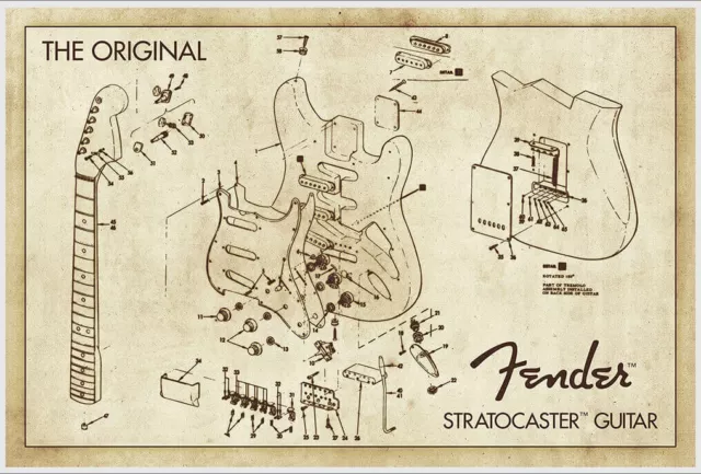 Fender Stratocaster Guitar Diagram Poster 36.5" x 24.5" Laminated